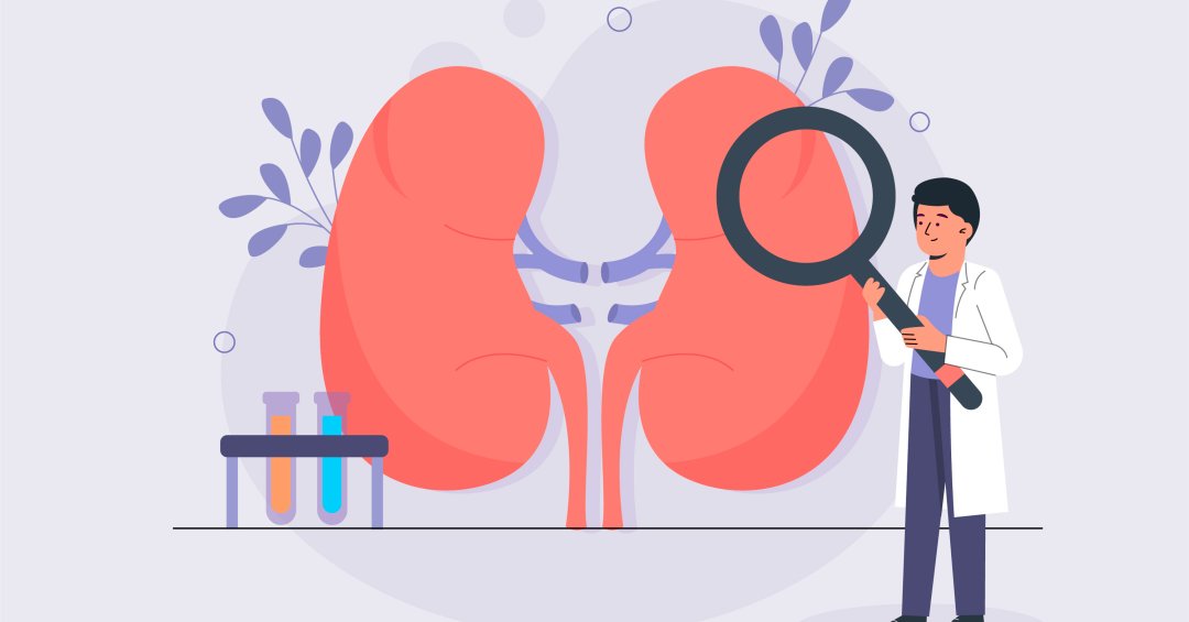 Doença renal crônica: o que é e como é o tra...
