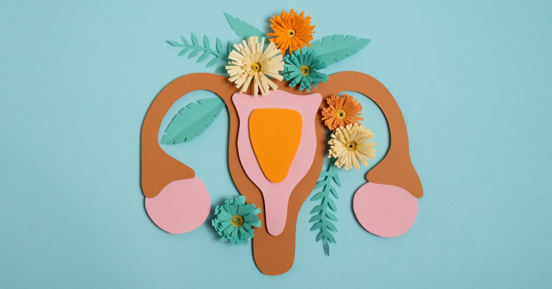 Menopausa precoce: novidades sobre diagnósti...