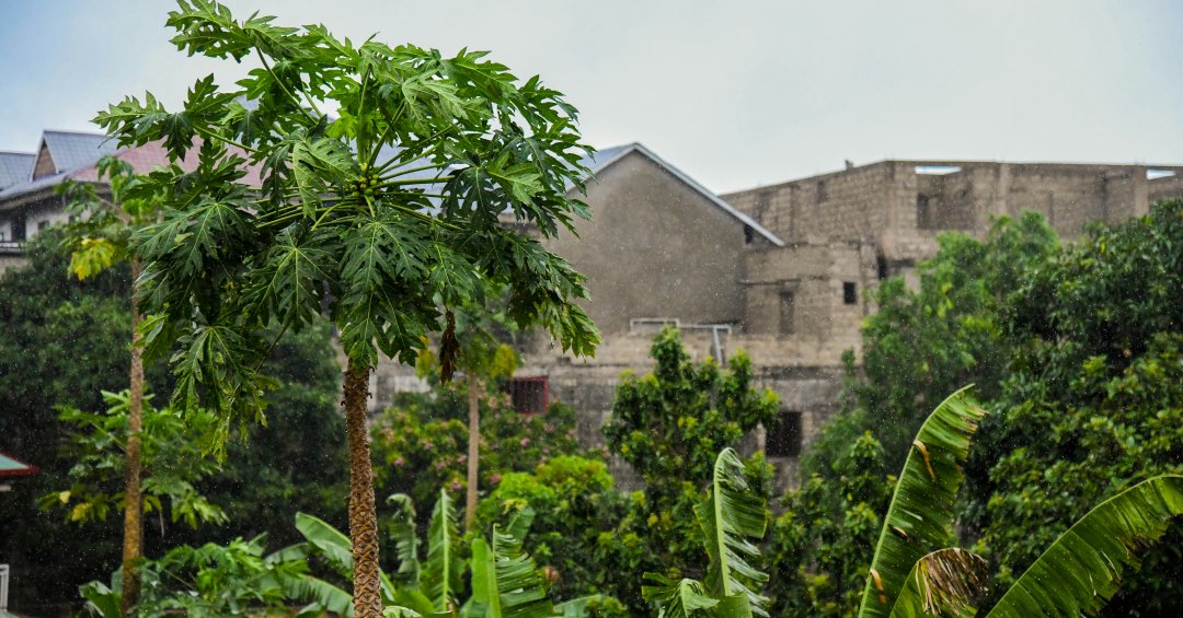 O que se sabe sobre a “doença misteriosa” qu...