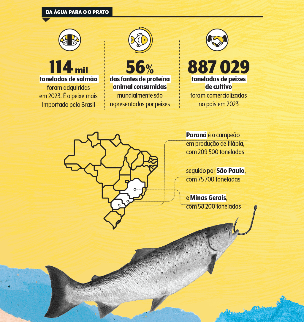 mat-peixes-quadro2-dados