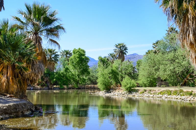 5 oásis incríveis pelo mundo (um deles é vizinho ao Brasil) 4
