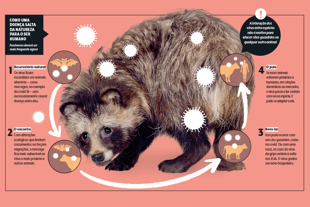 zoonose-salto-entre-especies