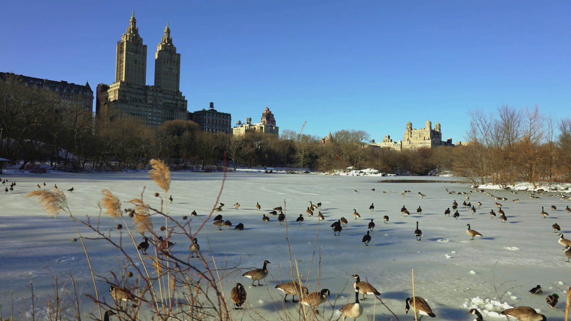 5 lugares parecidos com os EUA para quem quer evitar viajar para o país sob o governo Trump