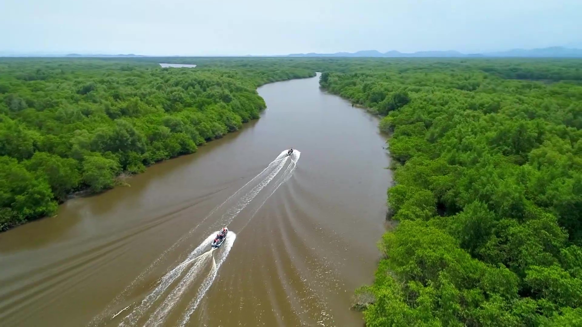 ‘Pantanal Fluminense’: conheça a área ultrapreservada na Baía de Guanabara, a 10 km de Paquetá