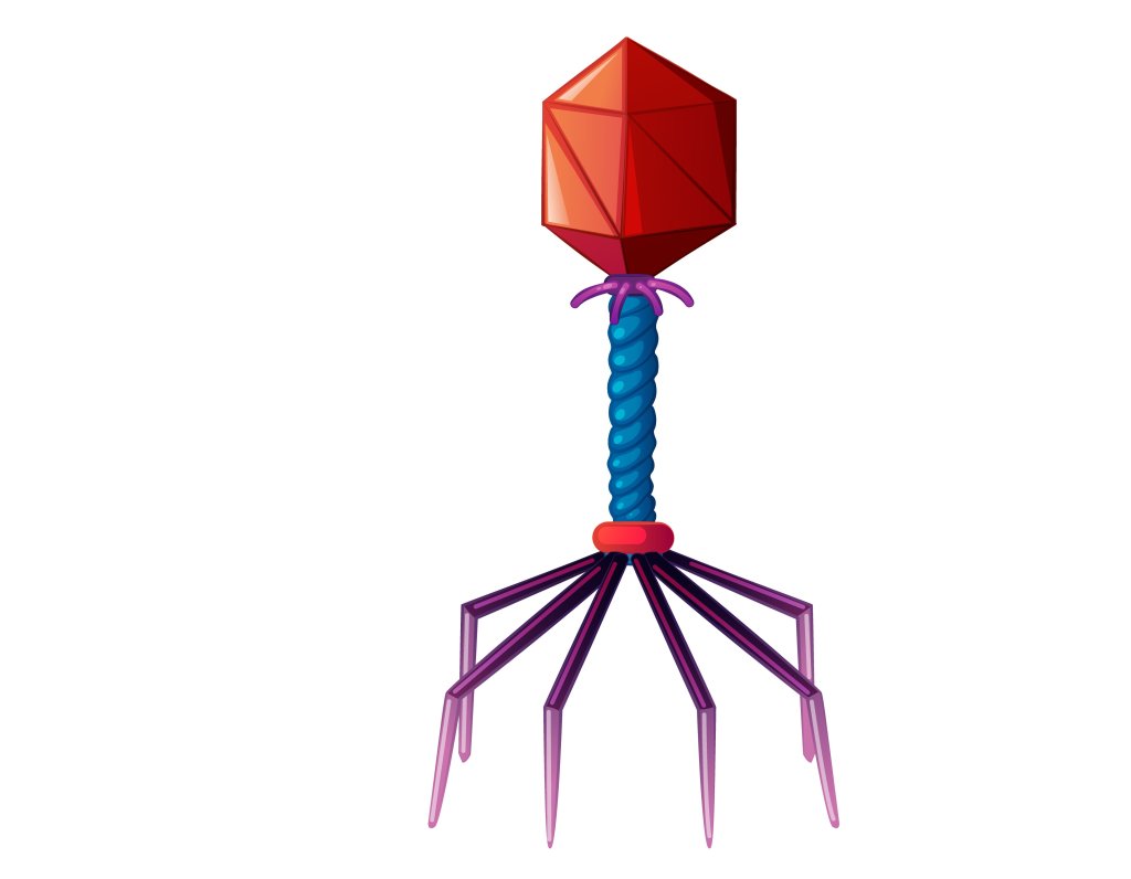 bacteriofago