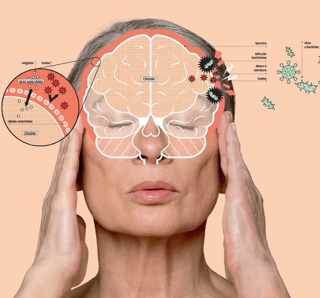 barreira-hematoencefalica