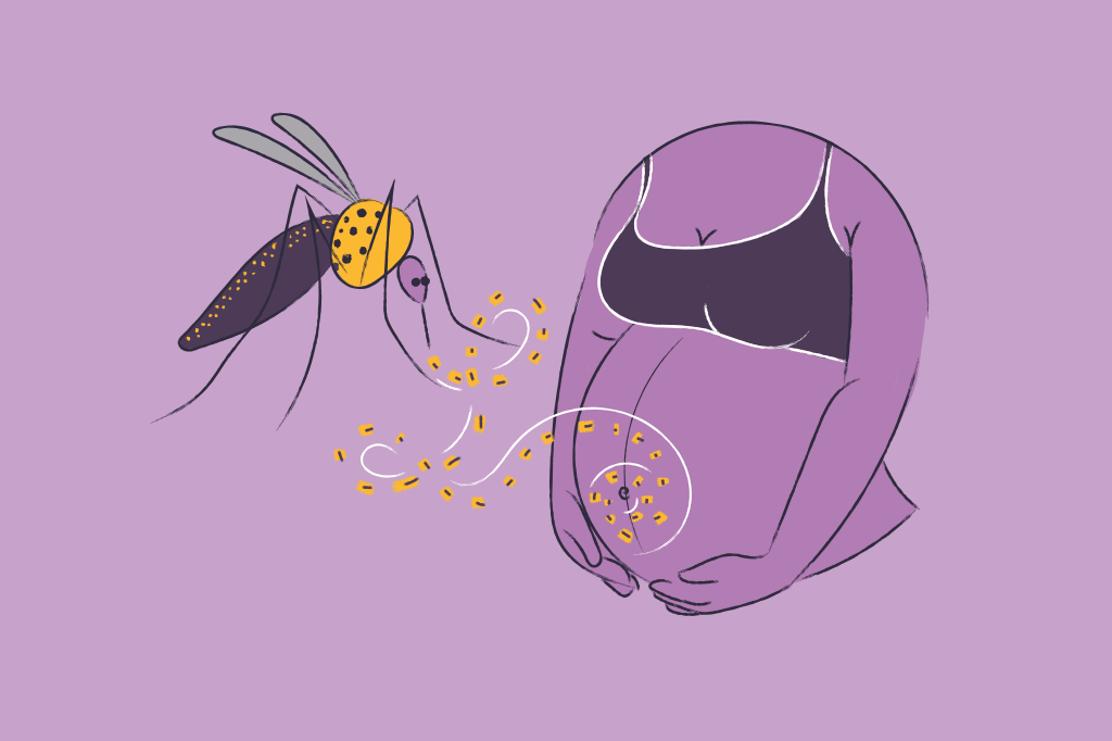 saude-radar-passado-virus-zika-mosquito-microcefalia-bebes