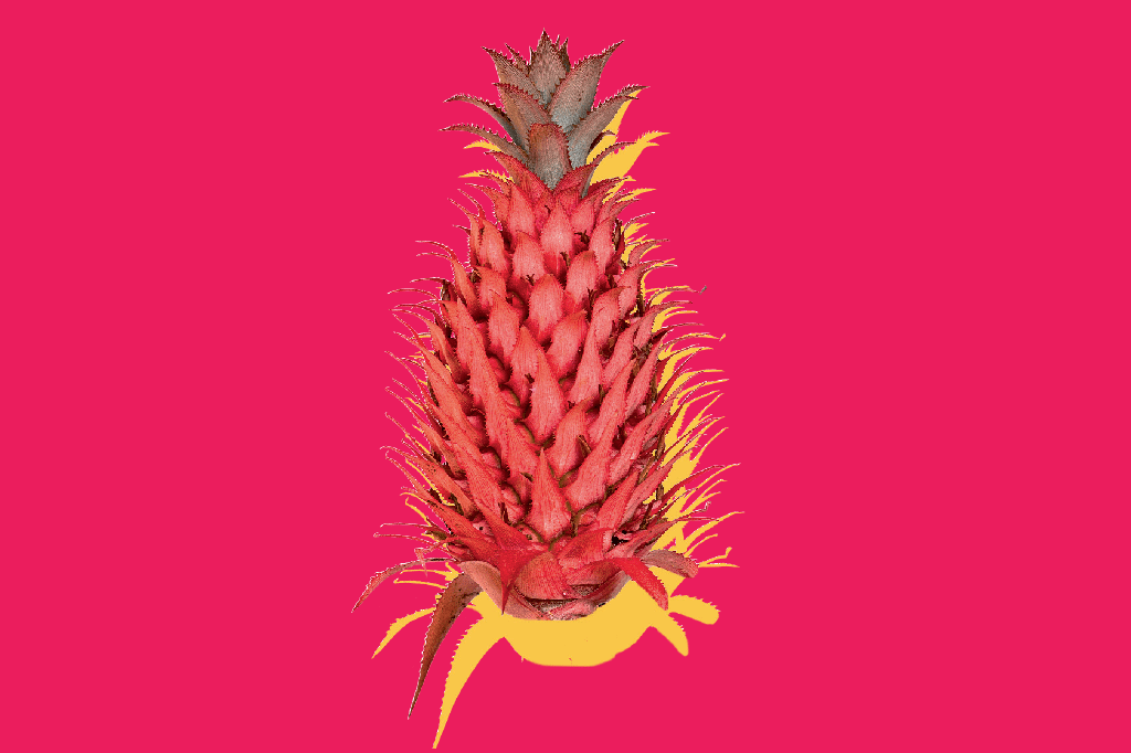 alimentacao-frutos-cerrado-abacaxi-do-cerrado