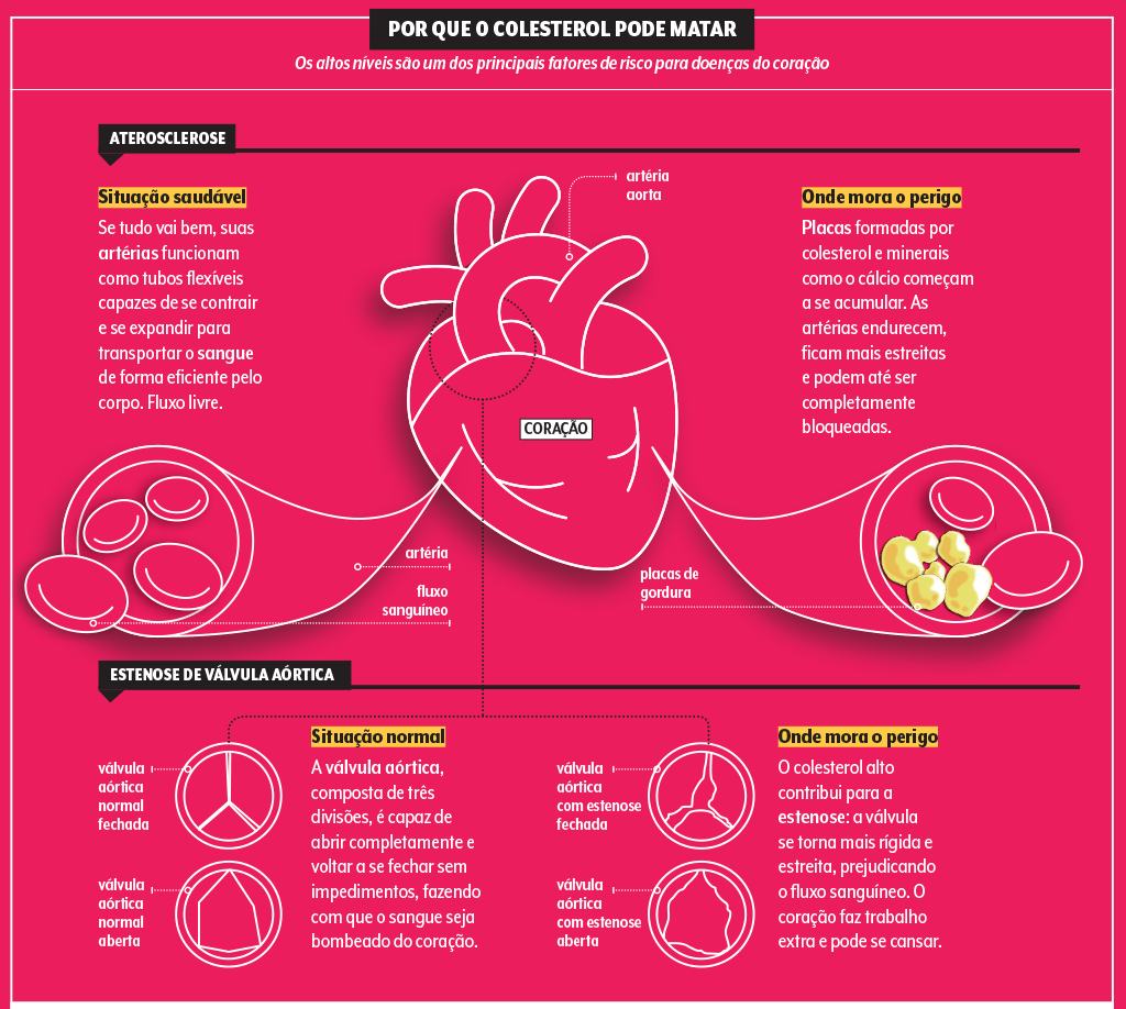 riscos-do-colesterol