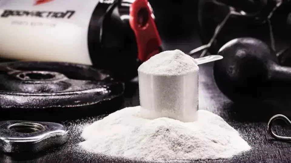 O que é creatina como ela age no seu corpo e por que é o suplemento mais seguro do mercado