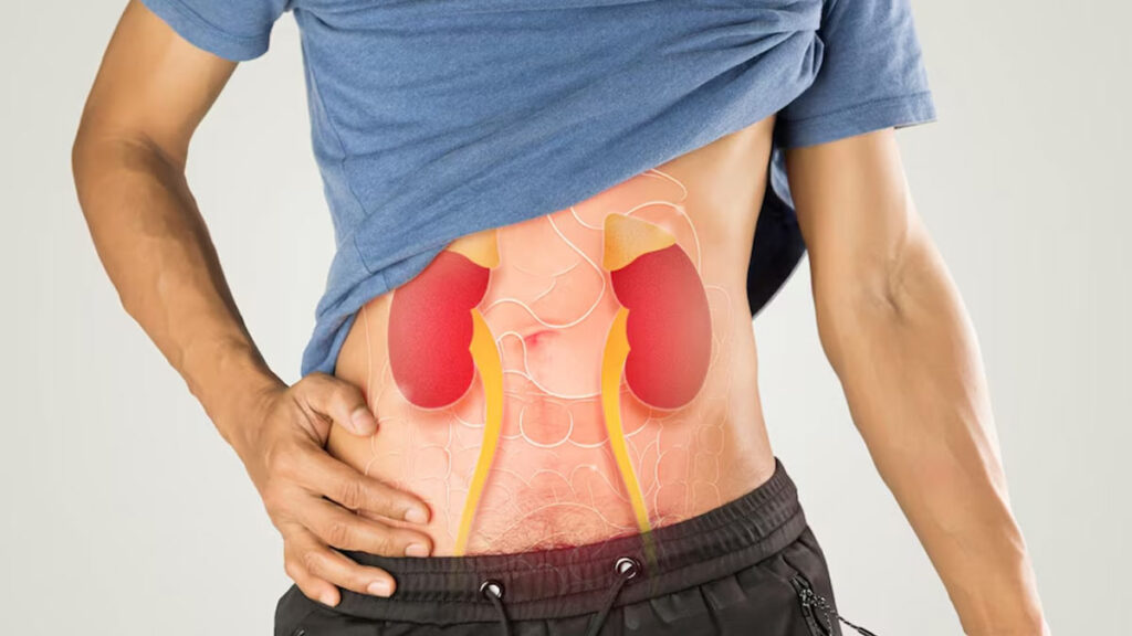 Efeitos Colaterais da Creatina: Mitos, Verdades e Como Usar com Segurança