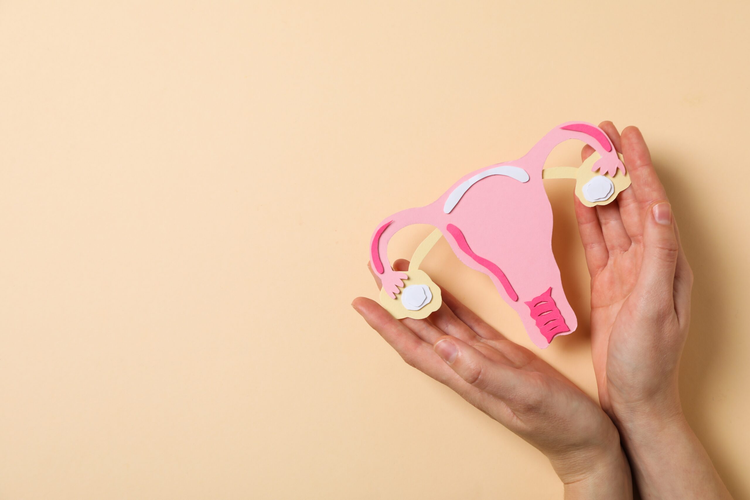 Espessamento endometrial: conheça as causas, sintomas e tratamentos