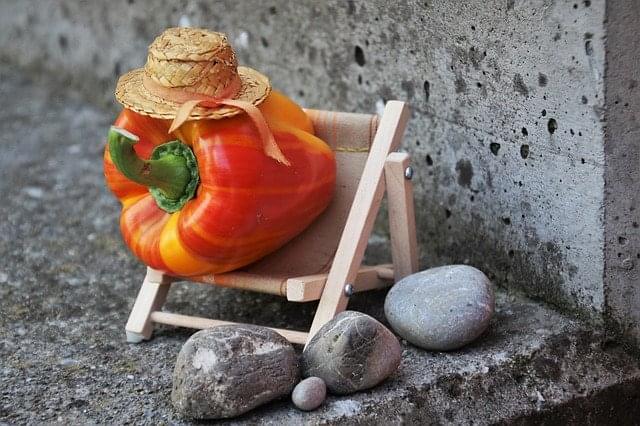 Será que nós realmente precisamos de remédios para emagrecer